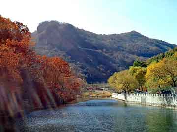 奥门天天开奖免费资料，西北旅游论坛